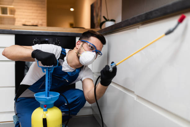 Best Best Pest Control Companies  in Minonk, IL