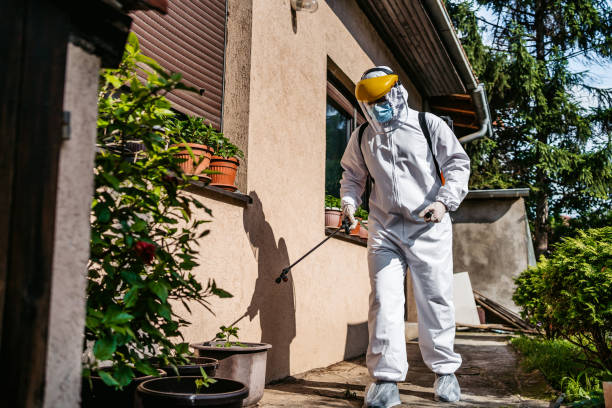 Best Best Pest Control Companies  in Minonk, IL