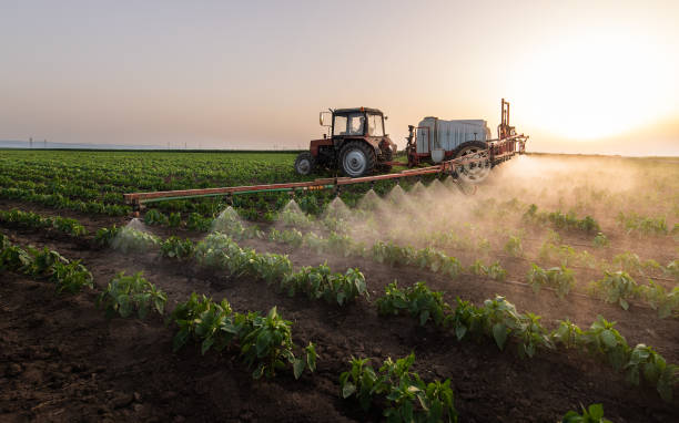 Pest Control Cost in Minonk, IL