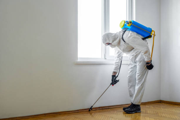 Best Insect Control  in Minonk, IL
