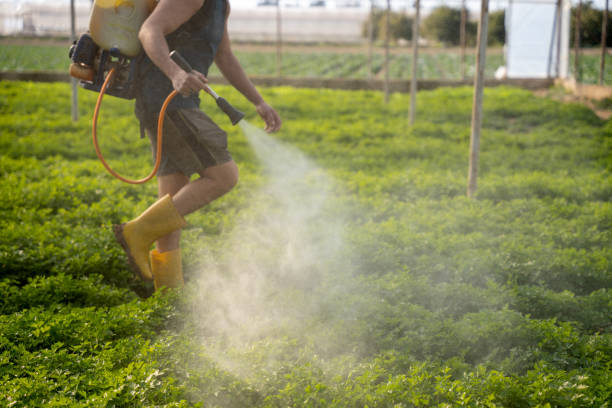 Best Best Pest Control Companies  in Minonk, IL