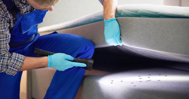 Best Pest Inspection Near Me  in Minonk, IL
