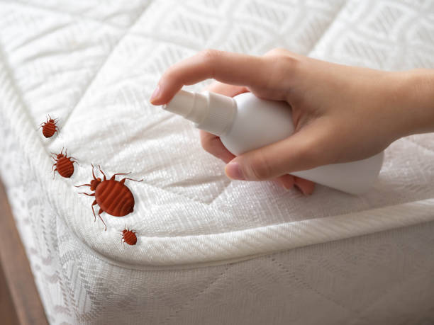 Best Pest Control Near Me in Minonk, IL