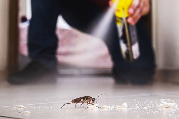 Best Cockroach Control Services  in Minonk, IL